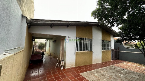 CASAS, Rua das Rosas