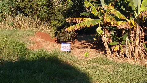 Terreno para Venda em Maringá - PR, Jd Laodicéia