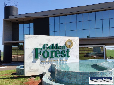 Terreno em Condomínio para Venda em Floresta - PR, Pr-317, Km 121