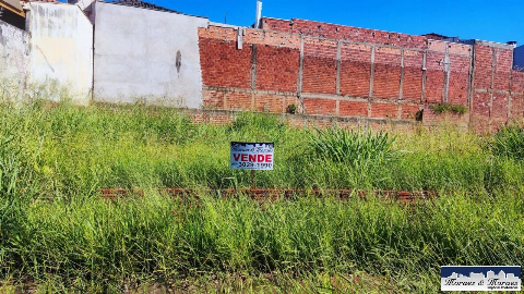 TERRENOS, Avenida Pioneiro Antônio Franco de Morais