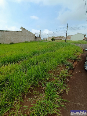 TERRENOS, Avenida das Torres