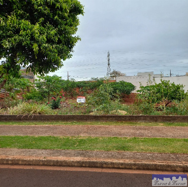 TERRENOS, Rua Pioneiro Olindo Alcini