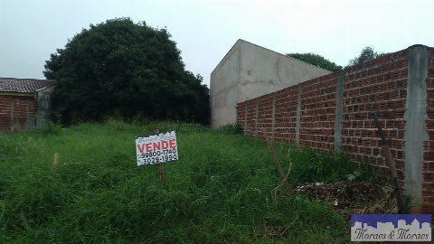 TERRENOS, Rua Cezário Mancine