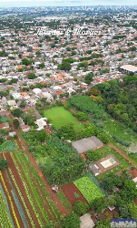Terreno Comercial para Venda em Sarandi - PR, Pq Industrial