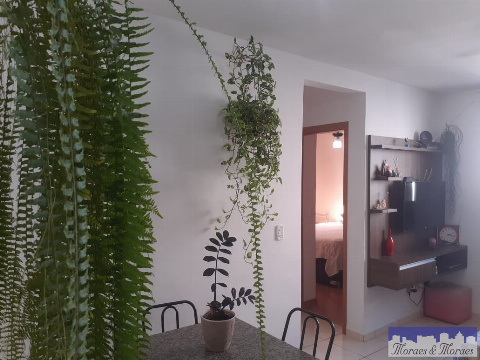 APARTAMENTOS, Avenida Pioneiro Antonio Ruiz Saldanha