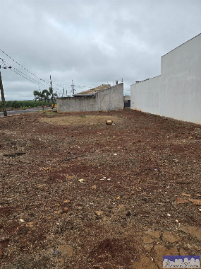 TERRENOS, Rua Pioneira Ângela Bulla Calvi
