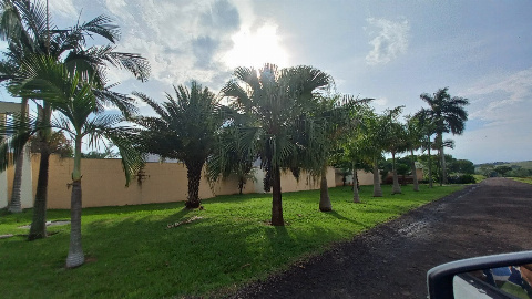 TERRENOS, Rodovia Pr317