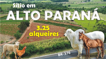 Sítio para Venda em Alto Parana - PR, Área Rural