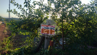 Chácara para Venda em Marialva - PR, Estrada Marialva