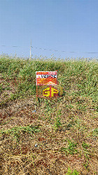 TERRENOS, Rua Guardaman Fiorati