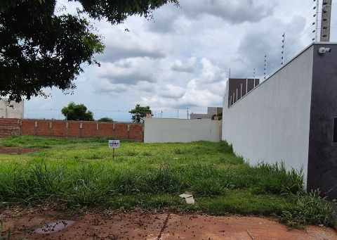 TERRENOS, Rua Tonico e Tinoco