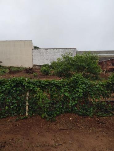 Terreno para Venda em Cianorte - PR, Jd Vitória