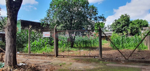 Terreno Comercial para Venda em Maringá - PR, Vl Morangueira