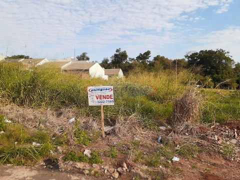 Terreno para Venda em Mandaguaçu - PR, Jd São Marcos
