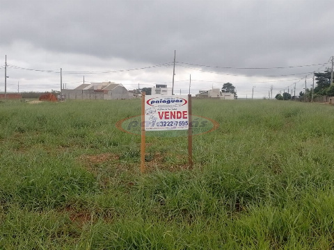 TERRENOS, Paschoal Fedrigo