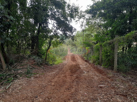 Chácara para Venda em Maringá - PR, Jd São Domingos