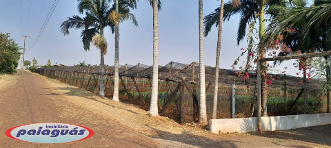 Chácara para Venda em Marialva - PR, Jd Eldorado