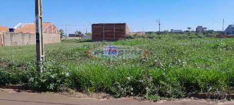 Terreno para Venda em Iguaraçu - PR, Vl Verde