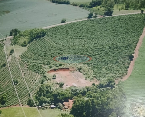 Chácara para Venda em Jardim Alegre - PR, Área Rural