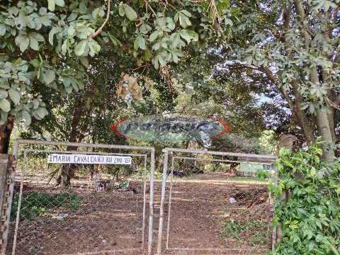 Casa para Locação em Maringá - PR, Pq Industrial