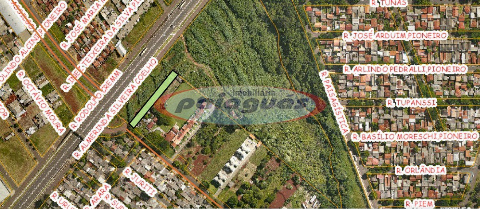 TERRENOS, Avenida Pintassilgo