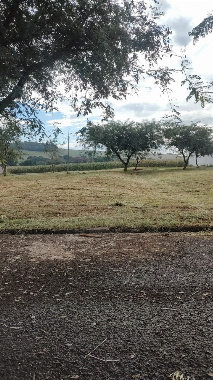 Terreno para Venda em Floresta - PR, Jd Nova Floresta