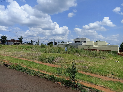 TERRENOS, Avenida Nilso Bertoni