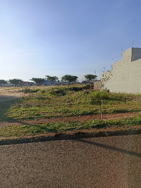 TERRENOS, Avenida Nilso Bertoni
