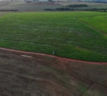 TERRENOS, Rodovia 317