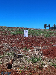 TERRENOS, Avenida 9301