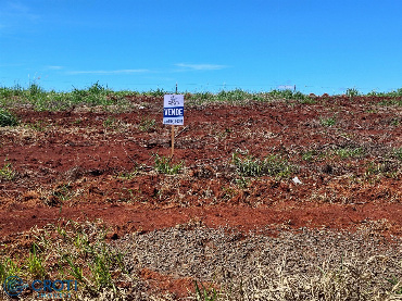 Terreno para Venda em Sarandi - PR, Ecovalley Ecologic City