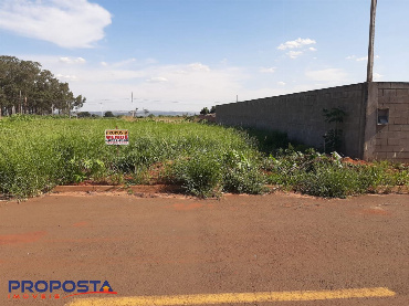 TERRENOS, Rua dos Carvalhos