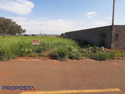 TERRENOS, Rua dos Carvalhos