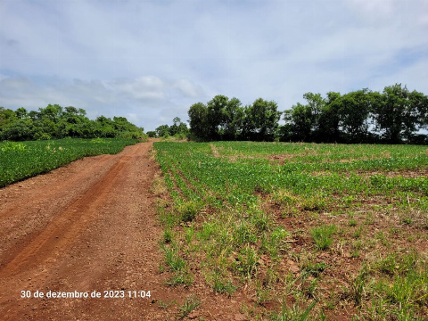 CHÁCARAS, Gleba Ribeirão Colombo