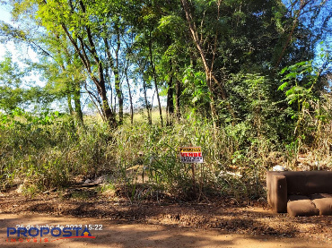 Terreno para Venda em Sarandi - PR, Cj Floresta