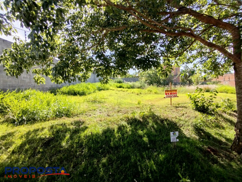 TERRENOS, Não Informado