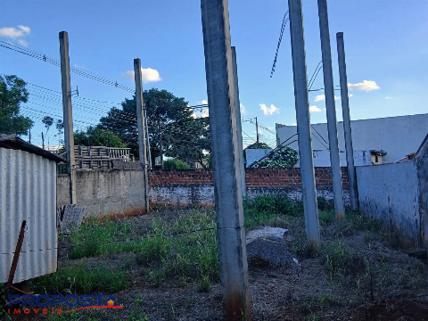 TERRENOS, Avenida Pioneiro João Pereira