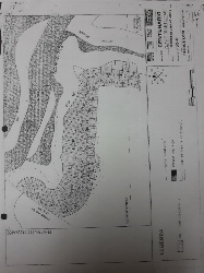 CHÁCARAS, Centenario do Sul