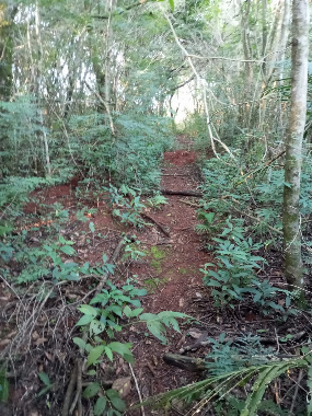 CHÁCARAS, Estrada Vieira