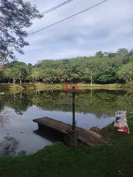 Terreno em Condomínio para Venda em Floresta - PR, Ribeirão Pinguim