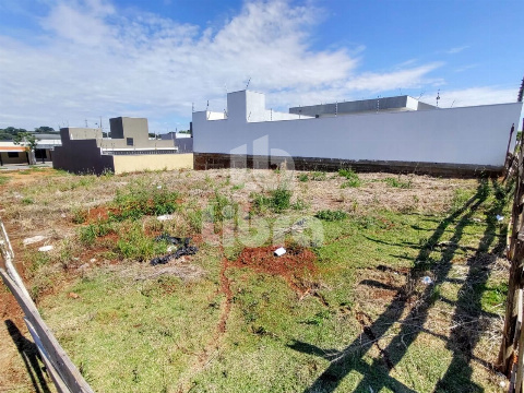 TERRENOS, Rua Pioneiro Izidoro Pereira da Fonseca