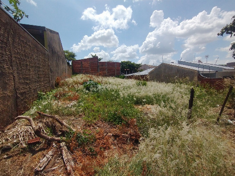 TERRENOS, Rua Francisca de Almeida