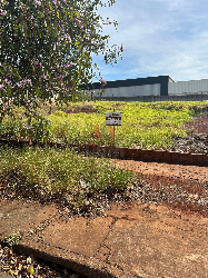 TERRENOS, Rua Sidinéia Maria Portes Name