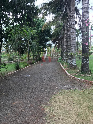 Chácara em Área de Lazer para Venda em Maringá - PR, Jd São Domingos