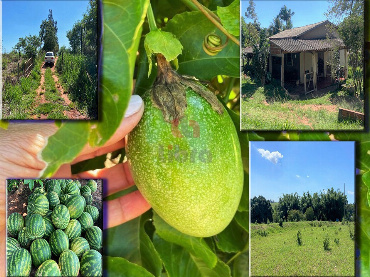 Sítio para Venda em Alto Parana - PR, Área Rural