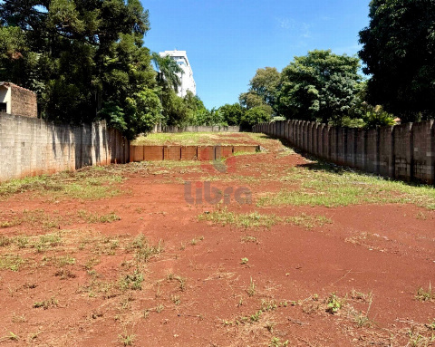 TERRENOS, Rua Pioneiro Alfredo José da Costa