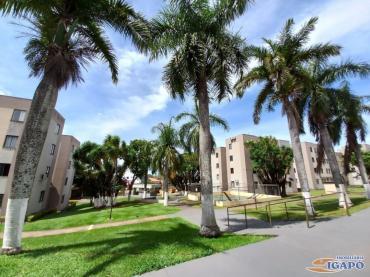 Apartamento para Venda em Londrina - PR, Jd Monte Belo