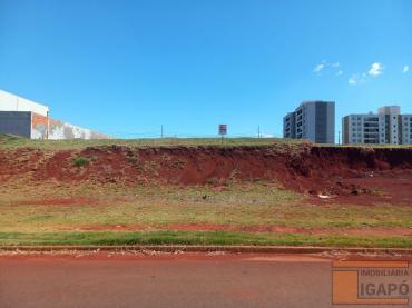 Terreno para Venda em Londrina - PR, Gleba Esperança