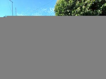 Casa para Locação em Londrina - PR, Pq das Indústrias