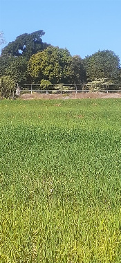 SÍTIOS, Área Rural